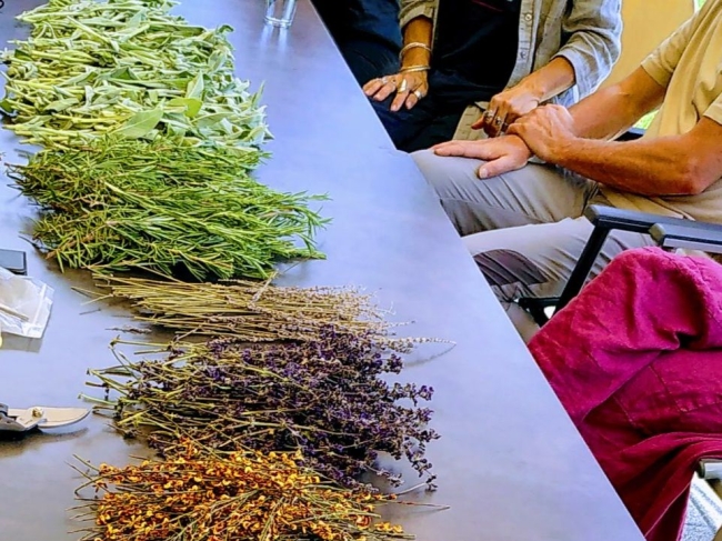 Ateliers sur demande